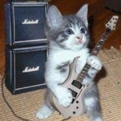 Y'a rien de plus beau 🙌 (ft. Denji Slayy)