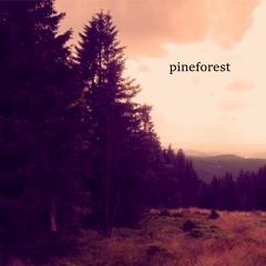 Pineforest (w ENDE.)