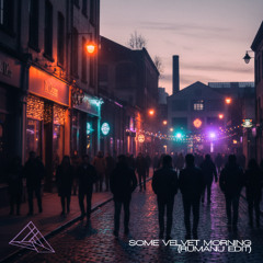 SOME VELVET MORNING (RUMANU EDIT)