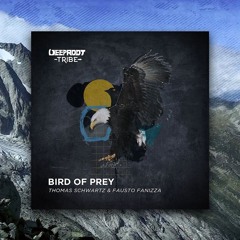 Thomas Schwartz Fausto Fanizza - Bird Of Prey