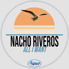 Nacho Riveros - Changes (Original Mix) [Agua Salada Records]