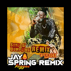 Stylo G ft. Spice - Dumpling Remix (JaySpringReggae Remix)