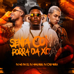 MTG - SENTA COM A PORRA DA XOTA (DJ'S WG DO SS, ALAN MELO & CAIO VIEIRA)