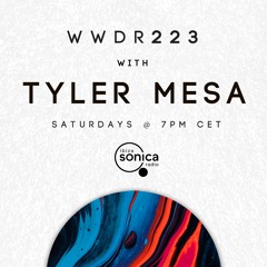 Tyler Mesa - When We Dip Radio #223 [25.12.21]