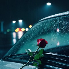 Last Rose