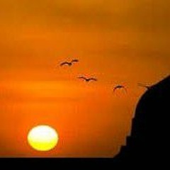 قصيدة. ( قالوا مات)للشيخ عبد الله كامل وكأنه ينعي نفسه رحمه الله رحمة واسعة
