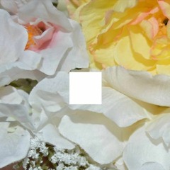 LITTLE LINES (AMERICA LOVES ME REMIX)