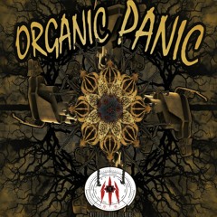 Accina & Xoh - Wonton Soup (155bpm)[V.A Organic Panic]