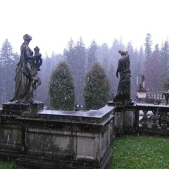 aftrmylover - Cabane de Zucca