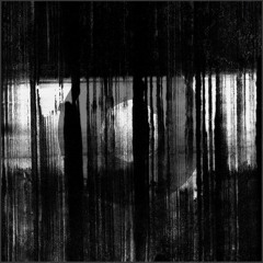 Snakes Of Russia -Skeletal