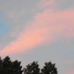 jimmyvande023 - chops galore