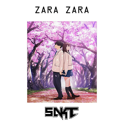 Zara Zara (SNKT Remix)