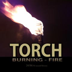 Torch Burning (fire) FX library preview