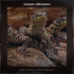 HAARPER — STILL HEDONS (GREYSHAILFERD Remix)