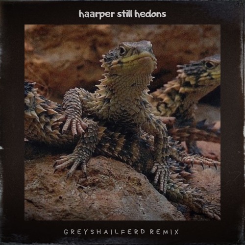 HAARPER — STILL HEDONS (GREYSHAILFERD Remix)