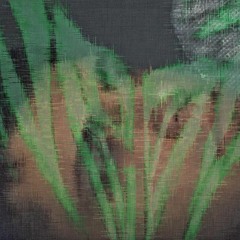Visionesss