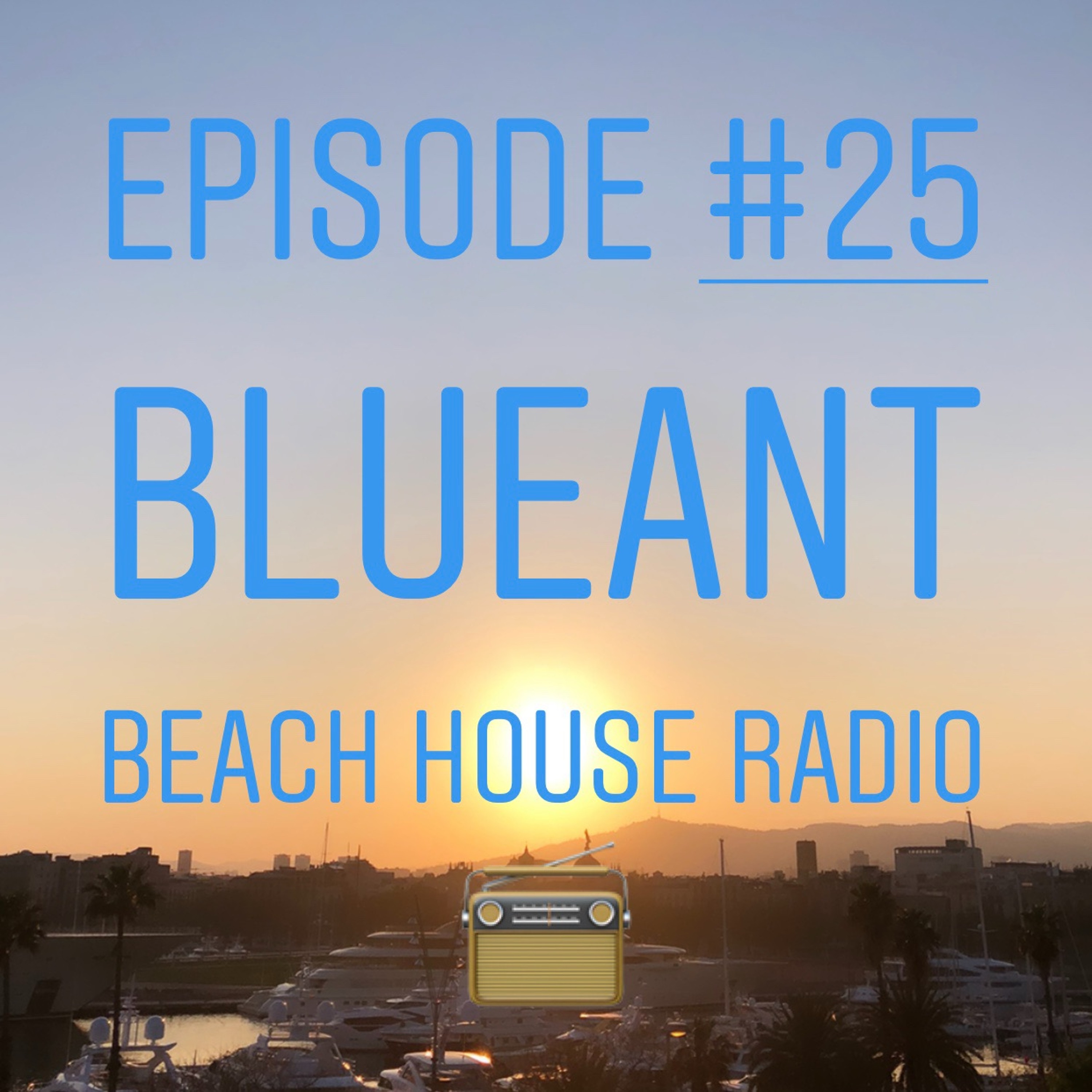 BlueAnt Beach House Radio