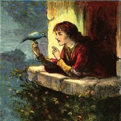 Days with Song Birds