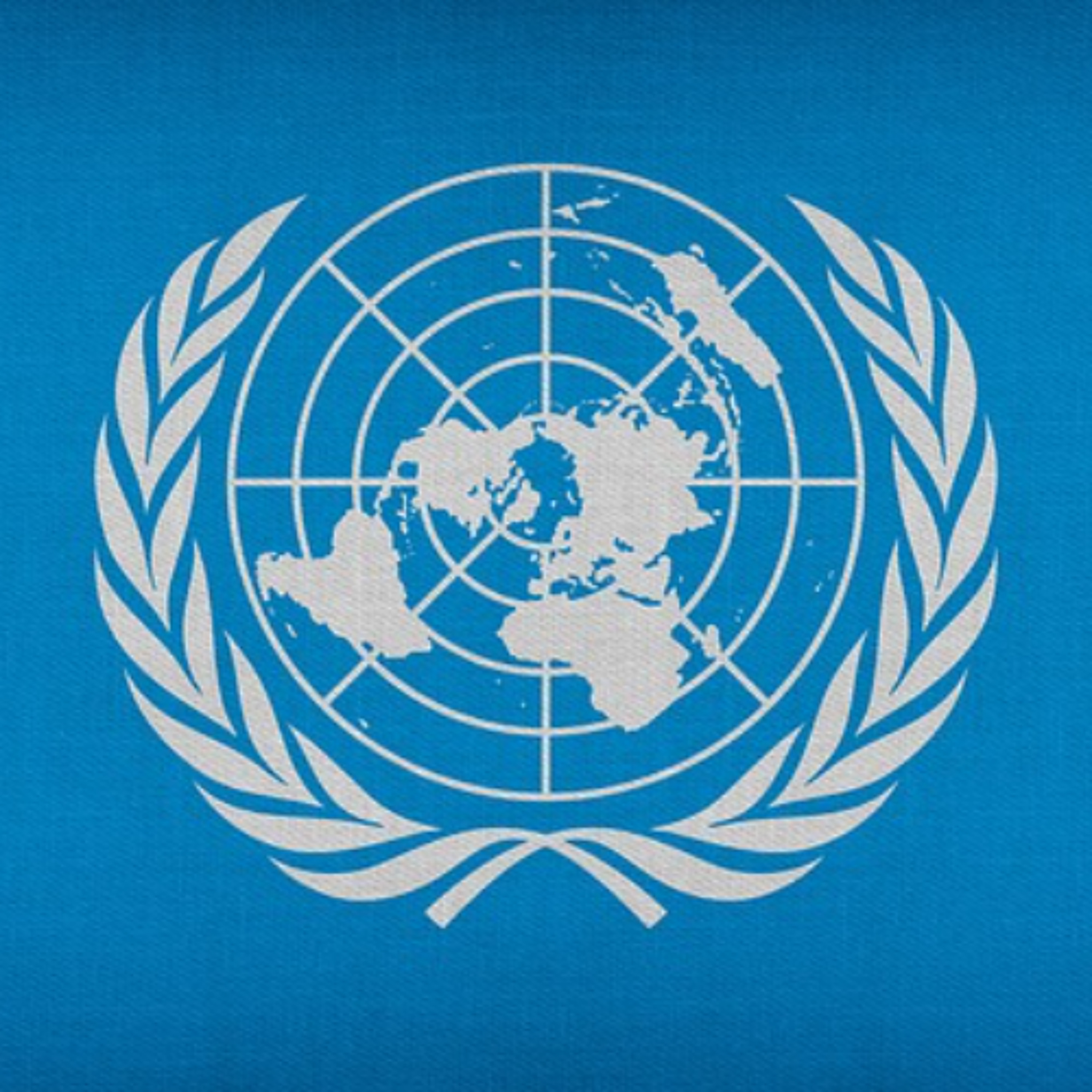 Antisemitic United Nations Agencies - The Jay Shapiro Show