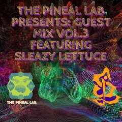 Pineal Lab Guest Mix Vol.3 Feat. Sleazy Lettuce