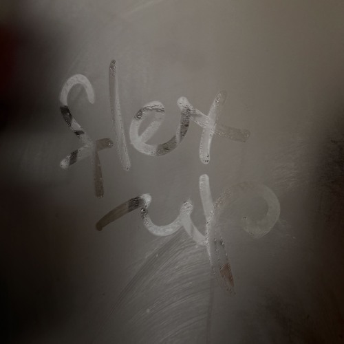 Flex Up (WHYS flip) cover