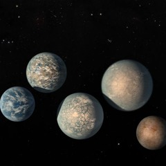 The Space Office