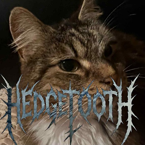 Hedgetooth - Feed
