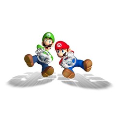 mario kart wii online flip