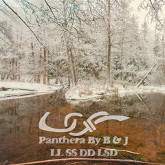 LL SS DD LSD Part 2