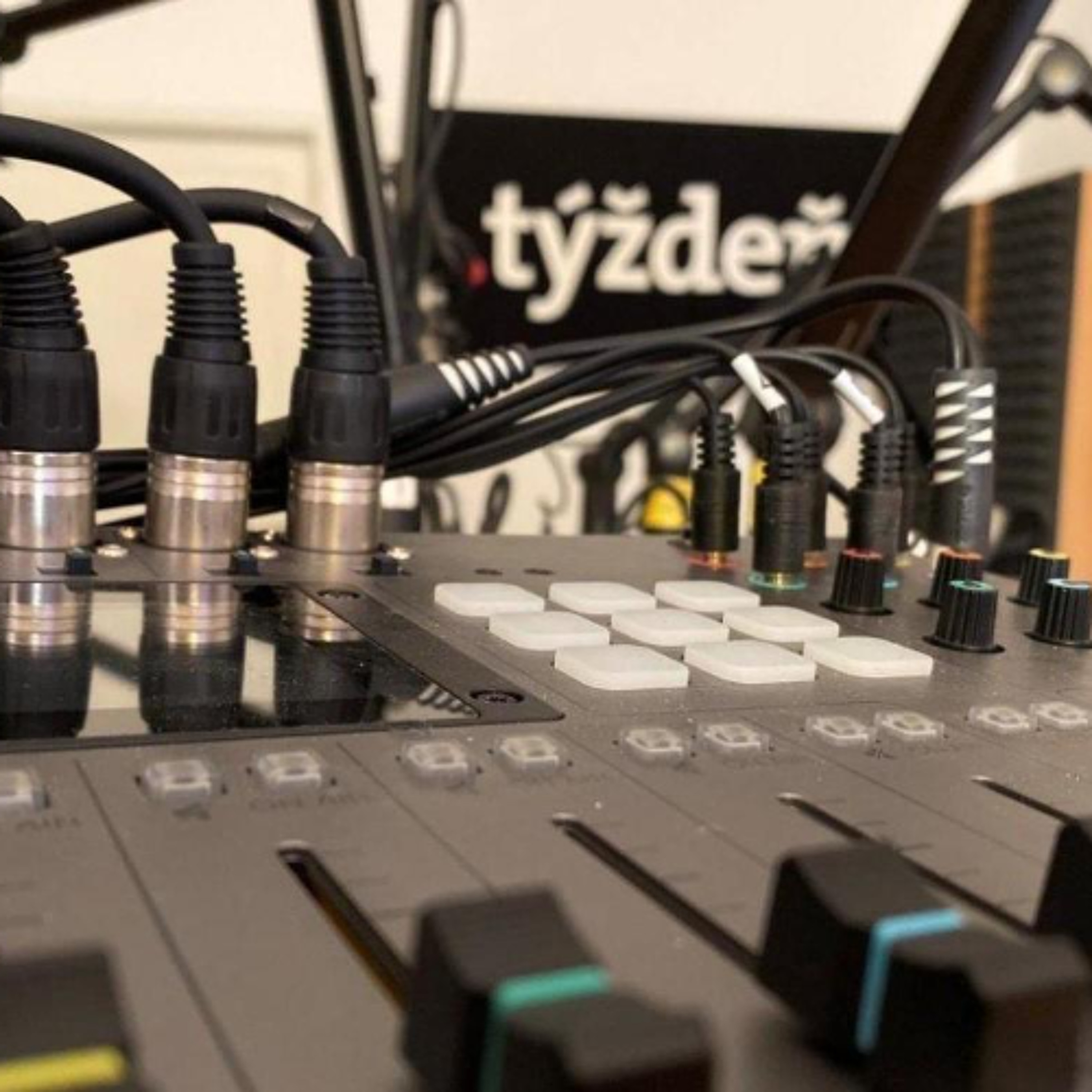 Týždeň s .týždňom: Zachránia nás súdy? Máme ešte parlament, alebo len služku vlády?