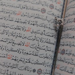 هل أتاك حديثُ صنعةِ المجاهدين