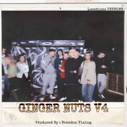 GINGER NUTS V4