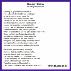 Mindful Activity-Blackberry-Picking