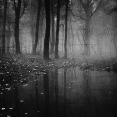 Fall (ft. ionainashi)