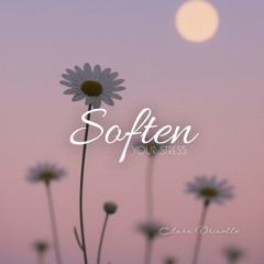 Daisy Dreams