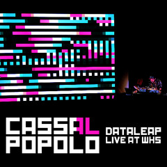 Data Leap - Live at WHS