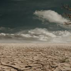 Kip Kendall - Waste Land