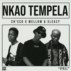 Ch'cco X FakeLove - Nkao Tempela (feat. Mellow & Sleazy)