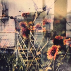 The Victor Mourning — Singing In The Dark (Rough Edit Teaser)