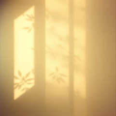 Morning Shadows