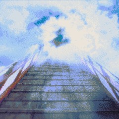 HIPTRAX4