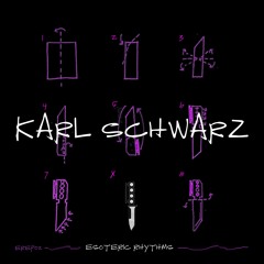 MOTZ Premiere: Karl Schwarz - Her Hated Facets