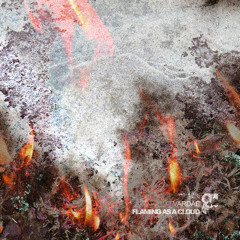 Vardae - Flaming As A Cloud [SMDE50]