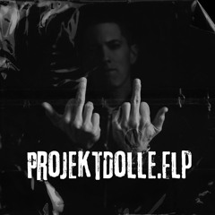 ProjektDolle.Flp