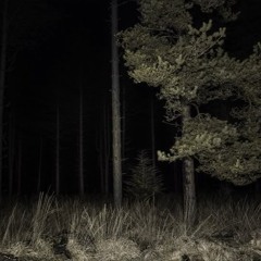it is loud outside, so i am whispering (instrumental)