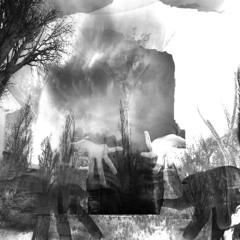 clarity process #clipz