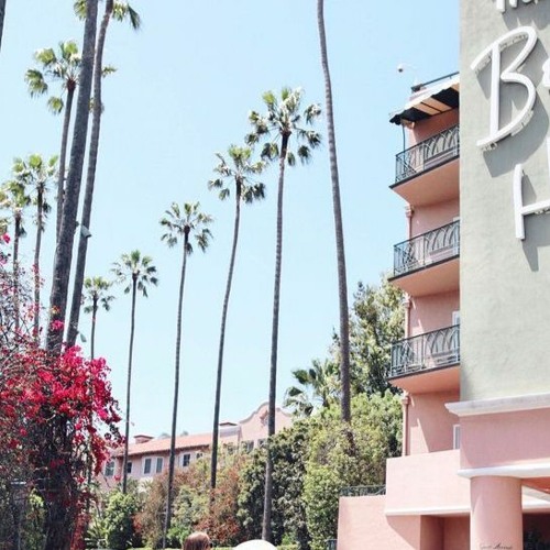 Basello & Meidė - CHAOSO RŪMAI