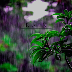 Stream Rain