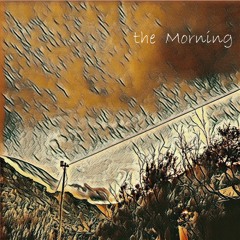 the Morning