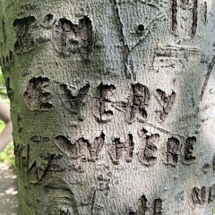 im every where
